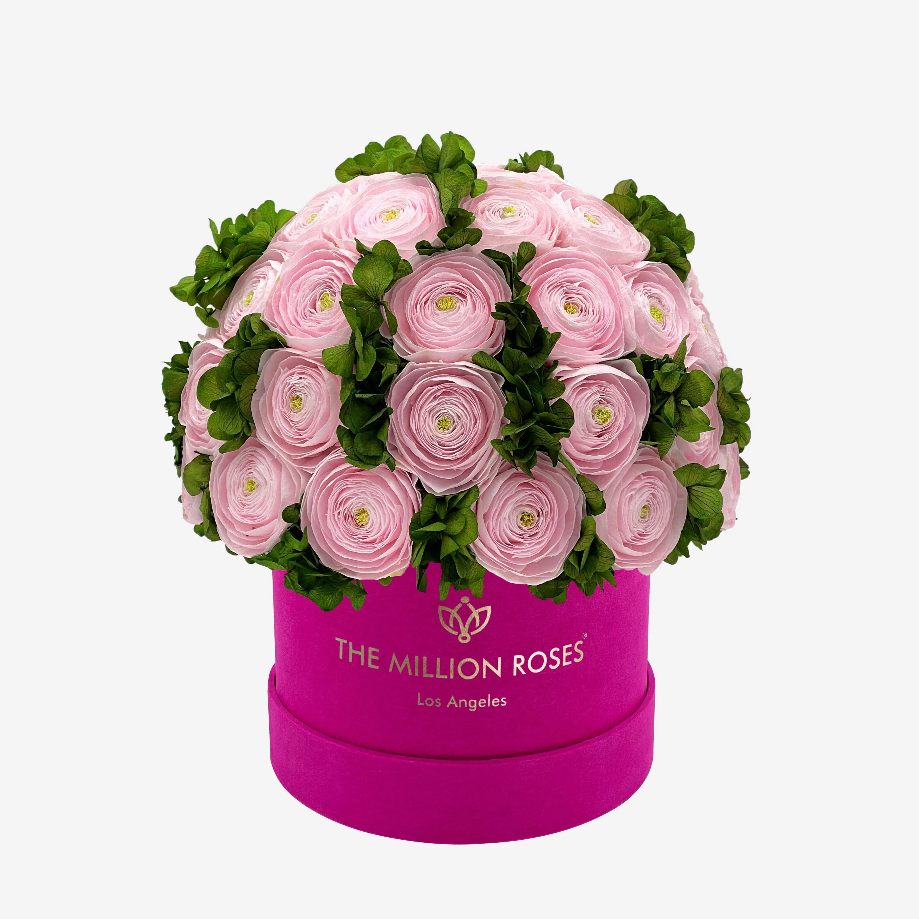 Classic Hot Pink Suede Box | Light Pink Persian Buttercups & Green Hydrangeas