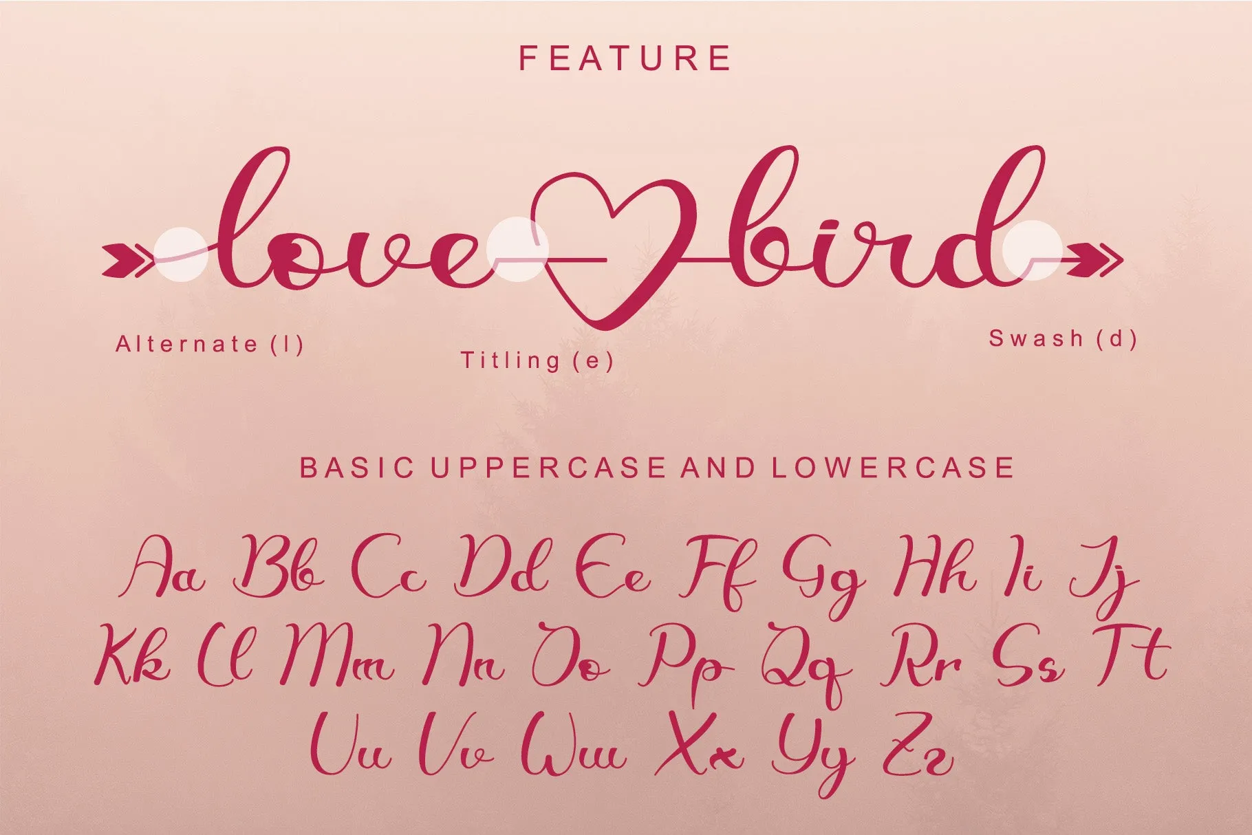 Lovebird - Free Lovely Script Font