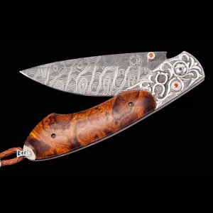 Spearpoint Brand Limited Edition - B12 BRAND