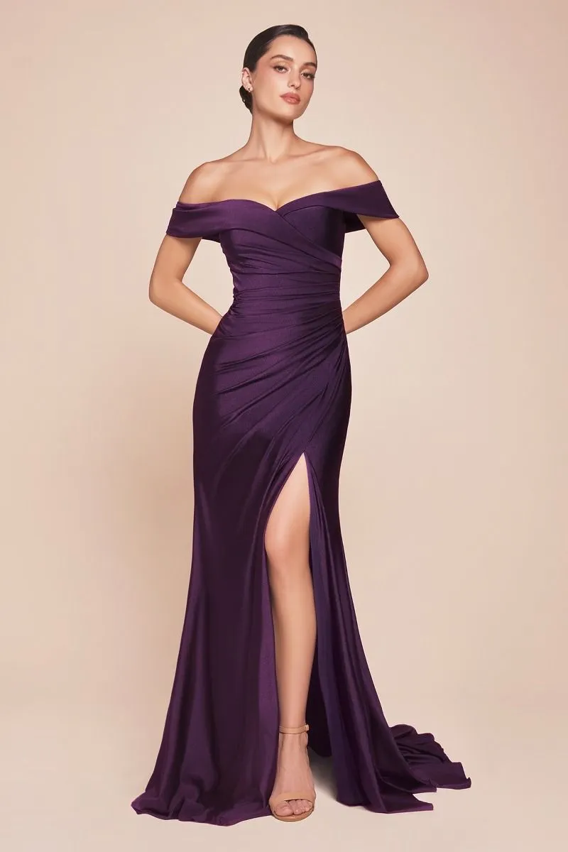 STRETCH SPANDEX OFF THE SHOULDER CURVE DRESS CDCD790C